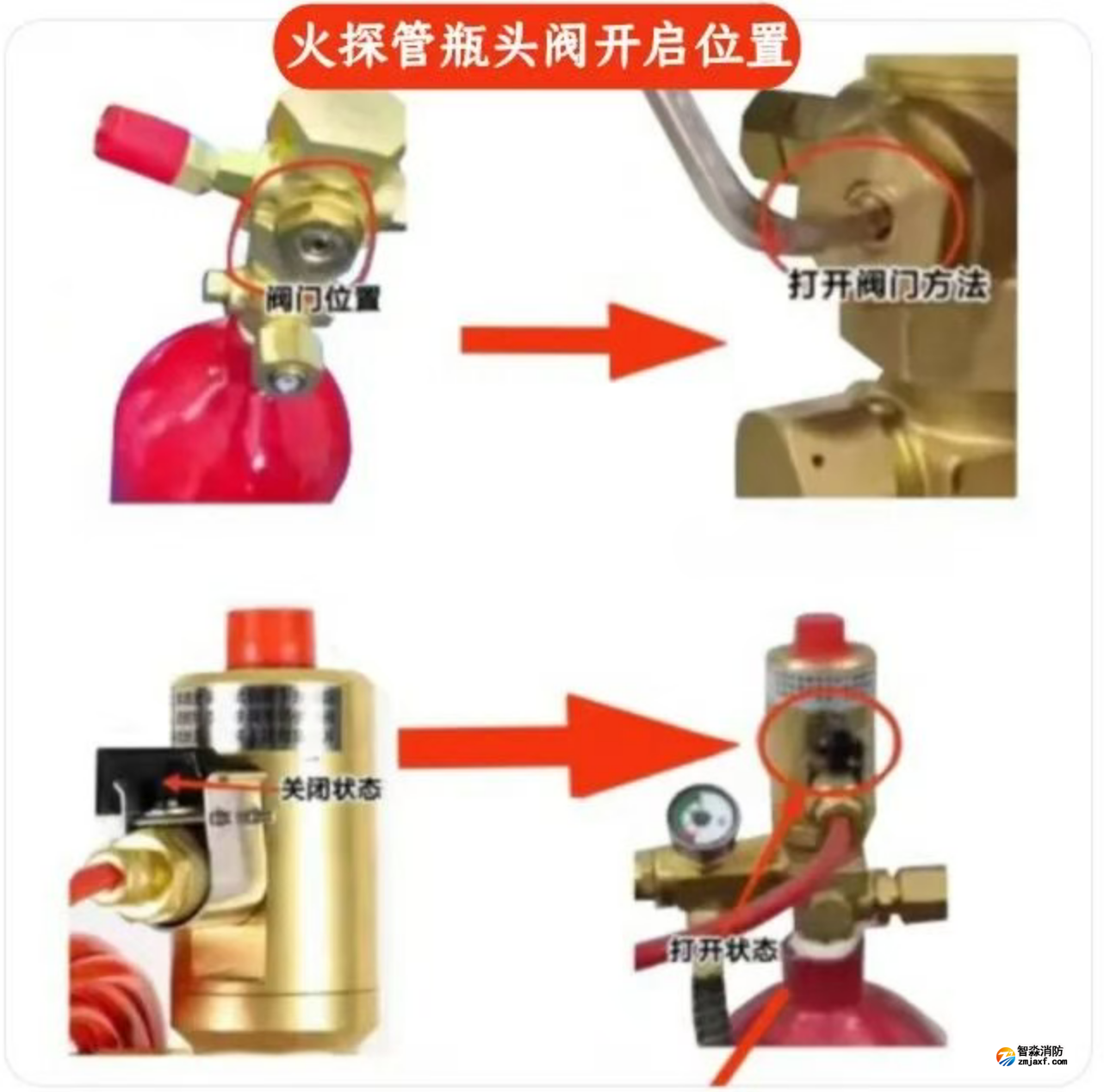 1772246260146889.png 1772246260146889.png