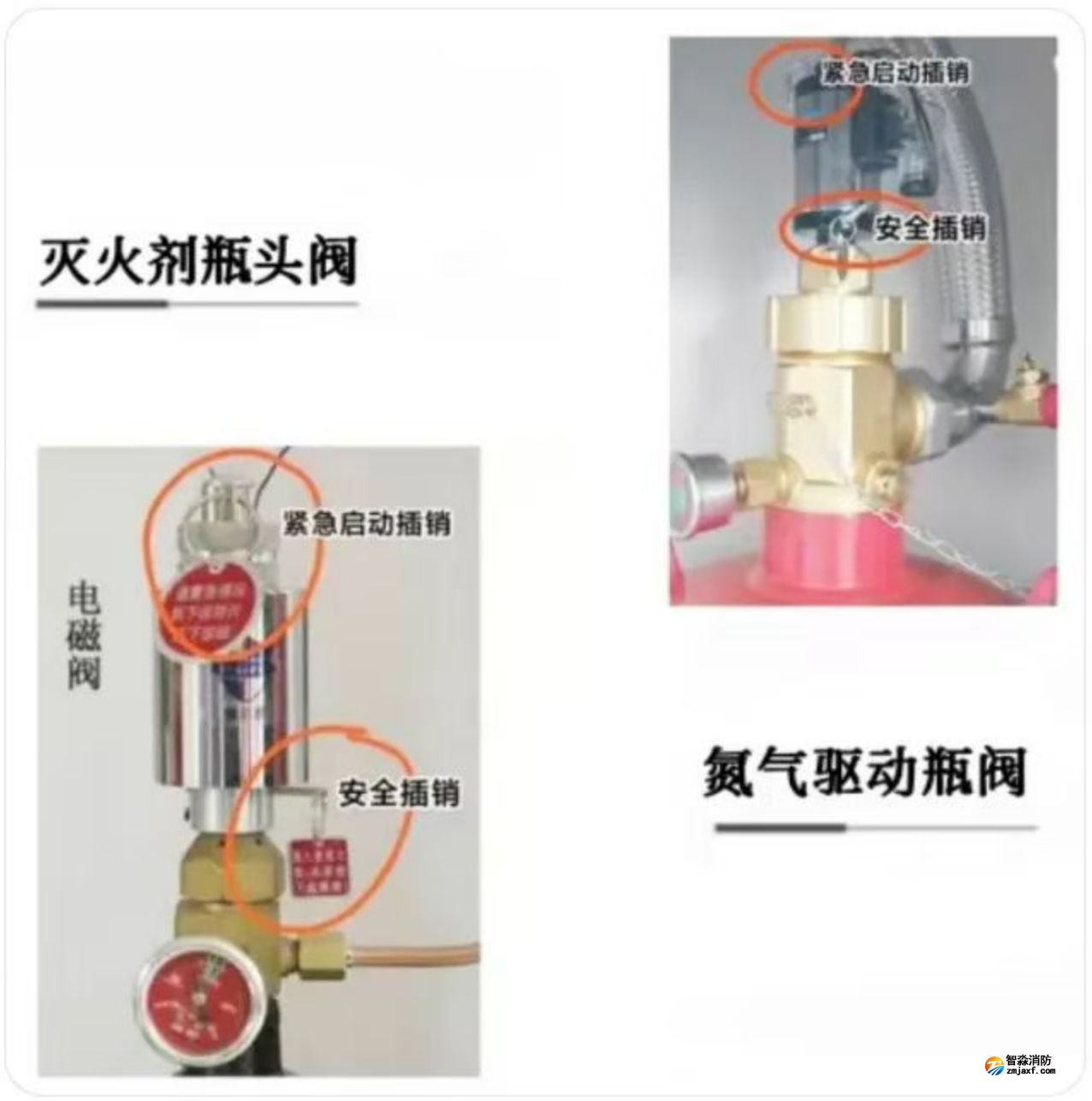 1772246527803061.png 1772246527803061.png